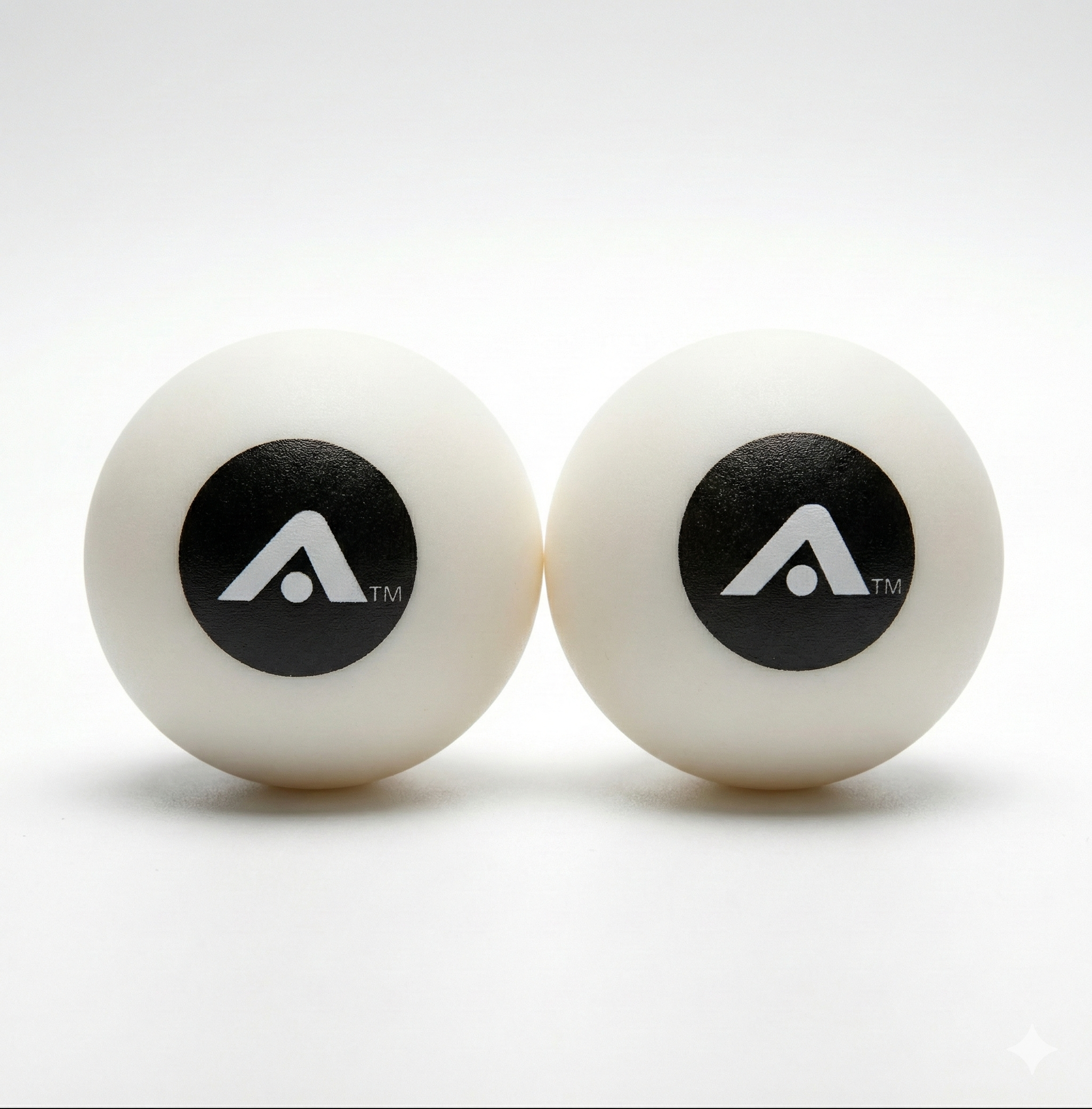 2 Pack Training Ball